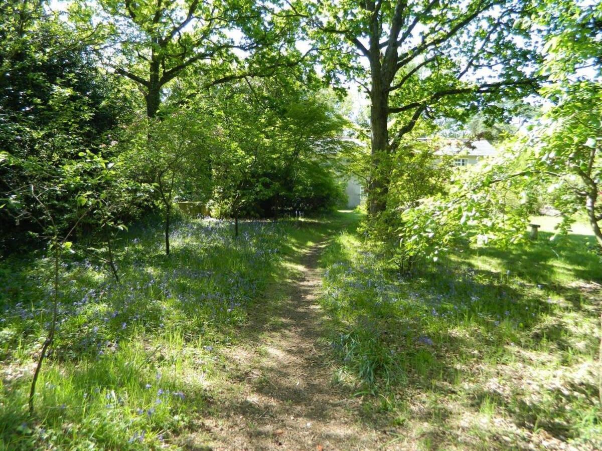 River Cottage A Country Retreat In Wooded Gardens East Stoke  外观 照片