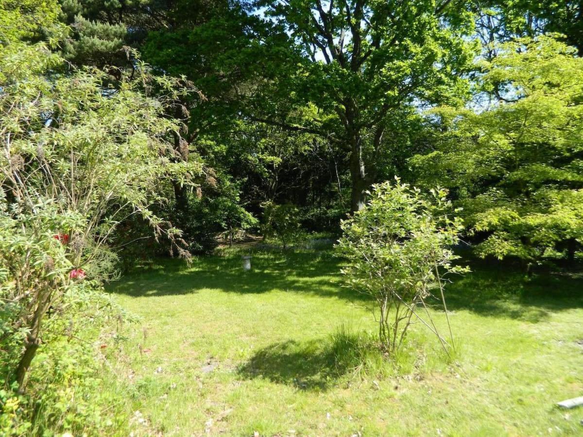 River Cottage A Country Retreat In Wooded Gardens East Stoke  外观 照片