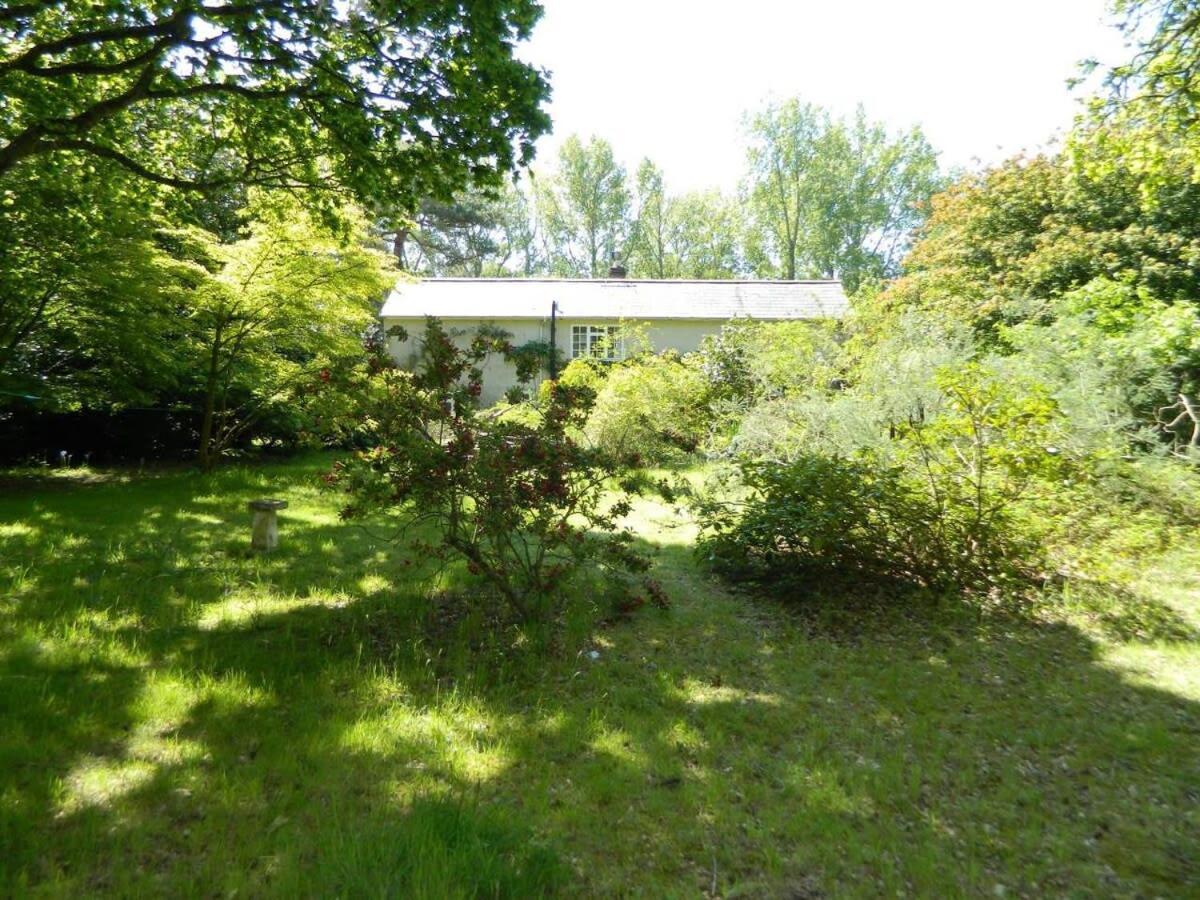 River Cottage A Country Retreat In Wooded Gardens East Stoke  外观 照片