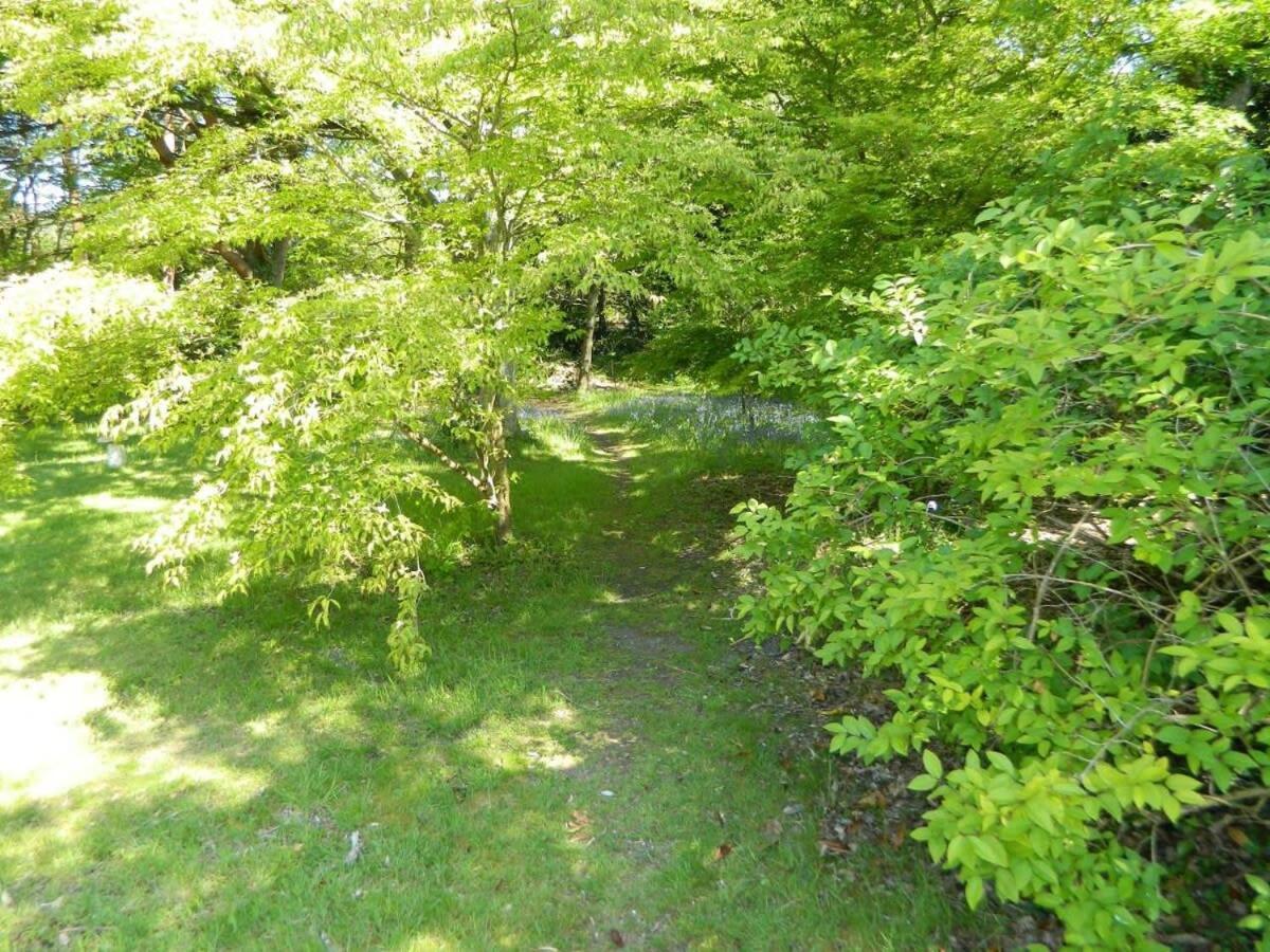 River Cottage A Country Retreat In Wooded Gardens East Stoke  外观 照片